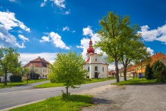 04_Bobrova_Milos-Neuman